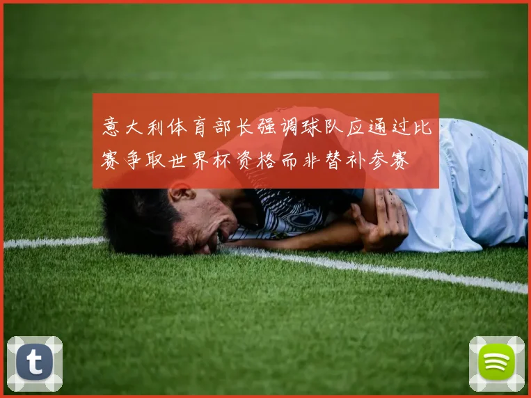 意大利体育部长强调球队应通过比赛争取世界杯资格而非替补参赛