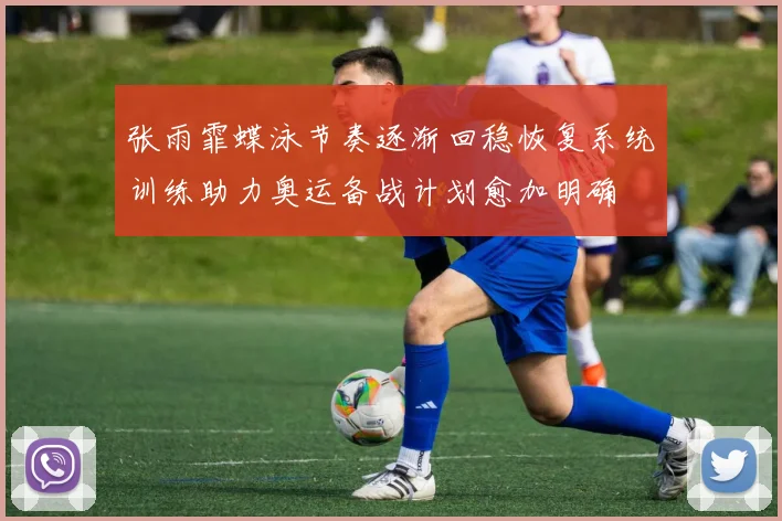 张雨霏蝶泳节奏逐渐回稳恢复系统训练助力奥运备战计划愈加明确